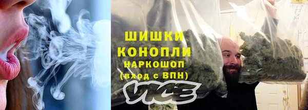 хмурый Аркадак