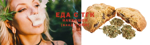 хмурый Аркадак