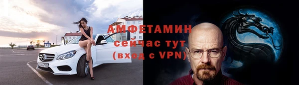 хмурый Аркадак
