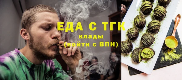 хмурый Аркадак