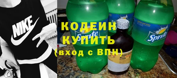 хмурый Аркадак