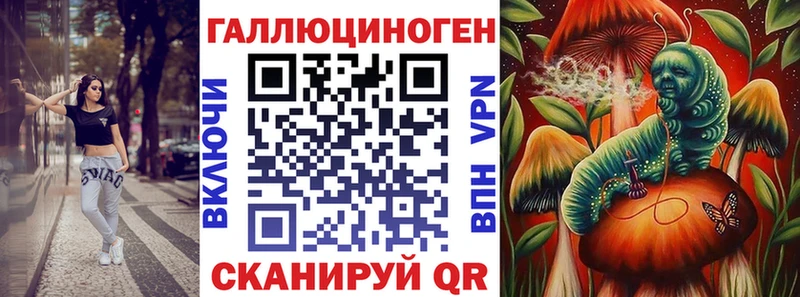 Купить  Сибай  Псилоцибиновые грибы мицелий 